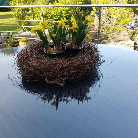Business Apartment Ravensburg - Sonnig, Zentral & Ruhig Esterno foto