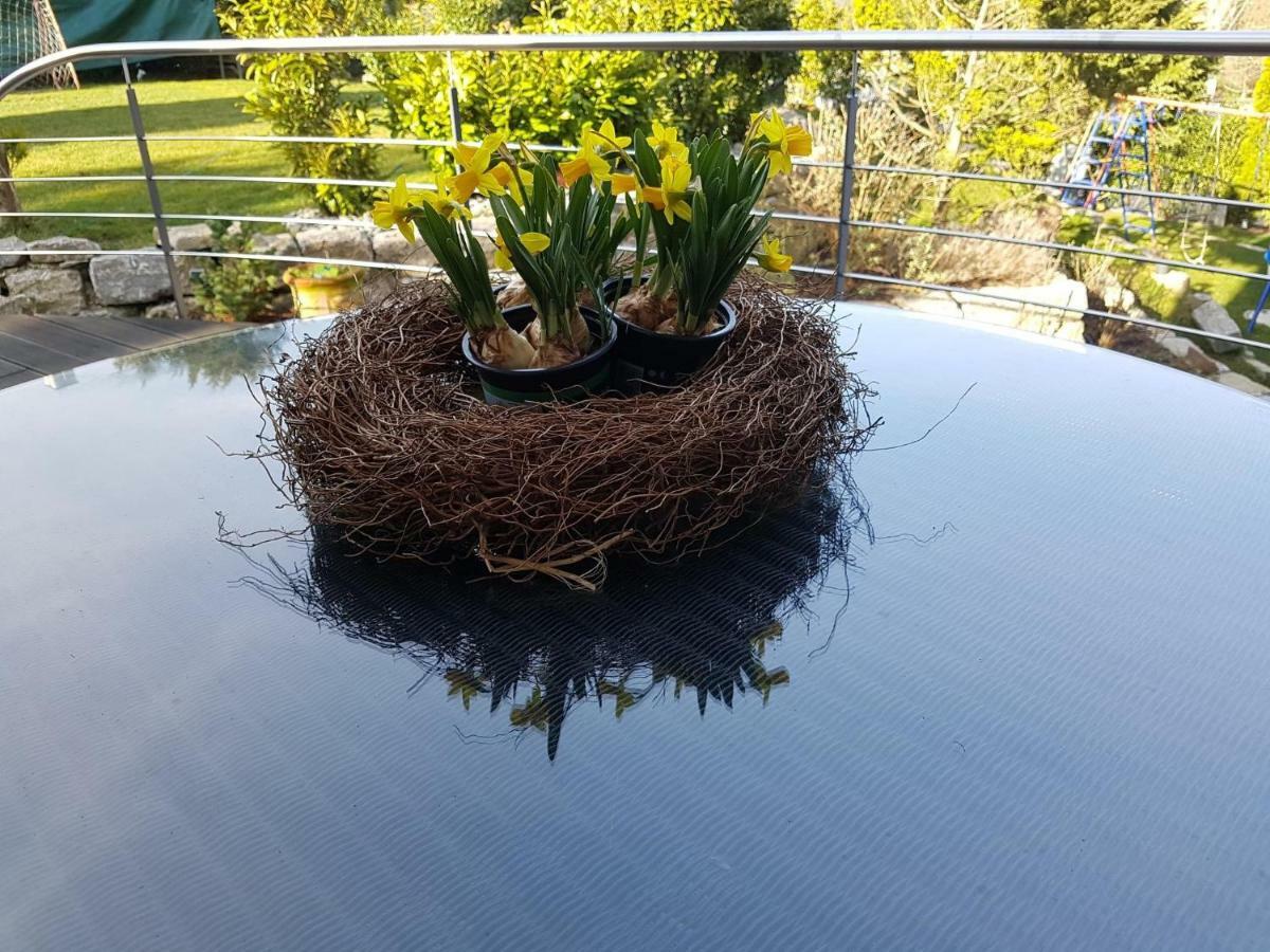 Business Apartment Ravensburg - Sonnig, Zentral & Ruhig Esterno foto