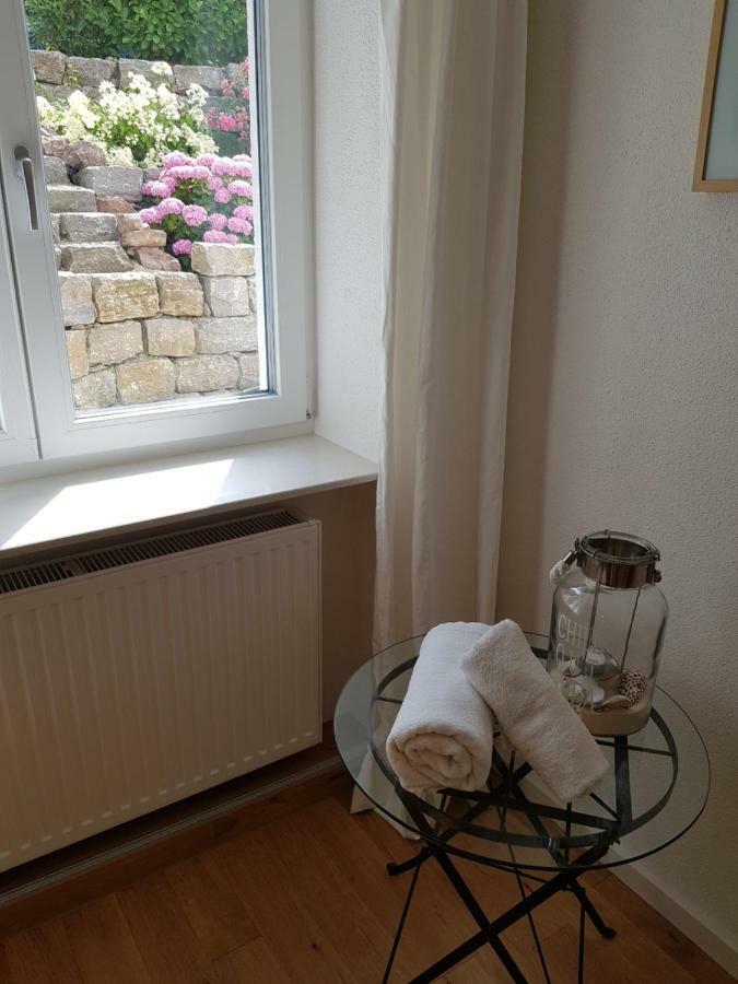 Business Apartment Ravensburg - Sonnig, Zentral & Ruhig Esterno foto